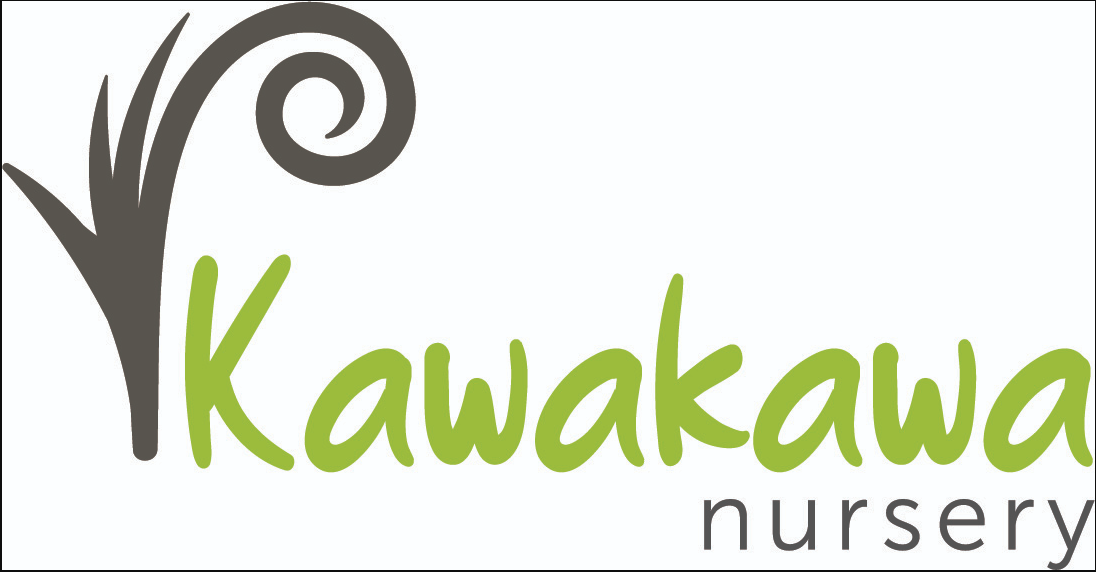 Kawakawa_Nursery.png